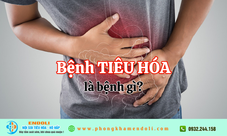 Bệnh tiêu hoá
