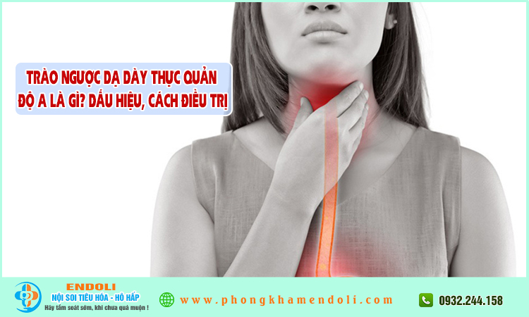 Trào ngược dạ dày thực quản độ a